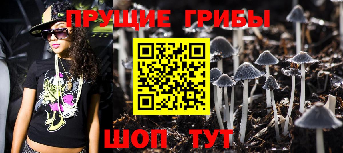 МЕФ   ГАШИШ  Кингисепп  Вход с VPN  МДМА  ЭКСТАЗИ 