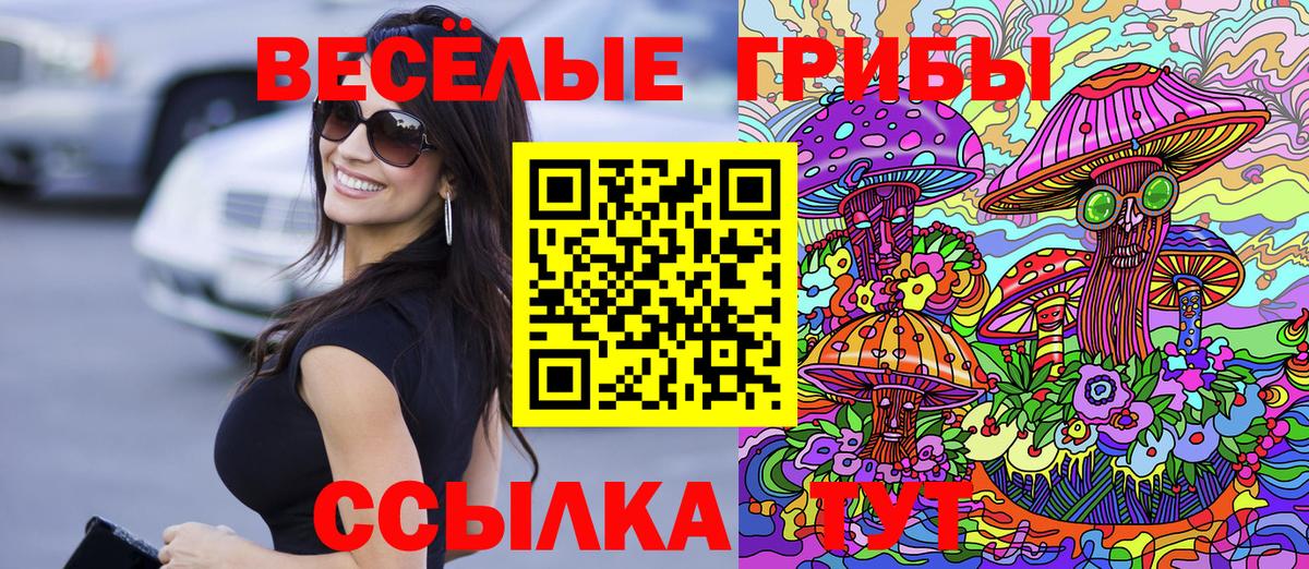 Псилоцибиновые грибы GOLDEN TEACHER Кингисепп